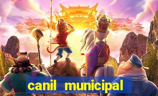 canil municipal porto alegre